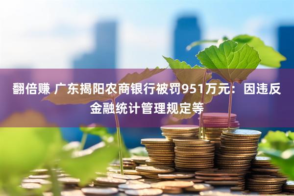 翻倍赚 广东揭阳农商银行被罚951万元：因违反金融统计管理规定等