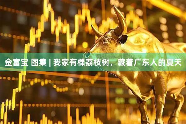 金富宝 图集 | 我家有棵荔枝树，藏着广东人的夏天