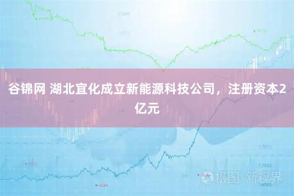 谷锦网 湖北宜化成立新能源科技公司，注册资本2亿元